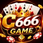C666 Game
